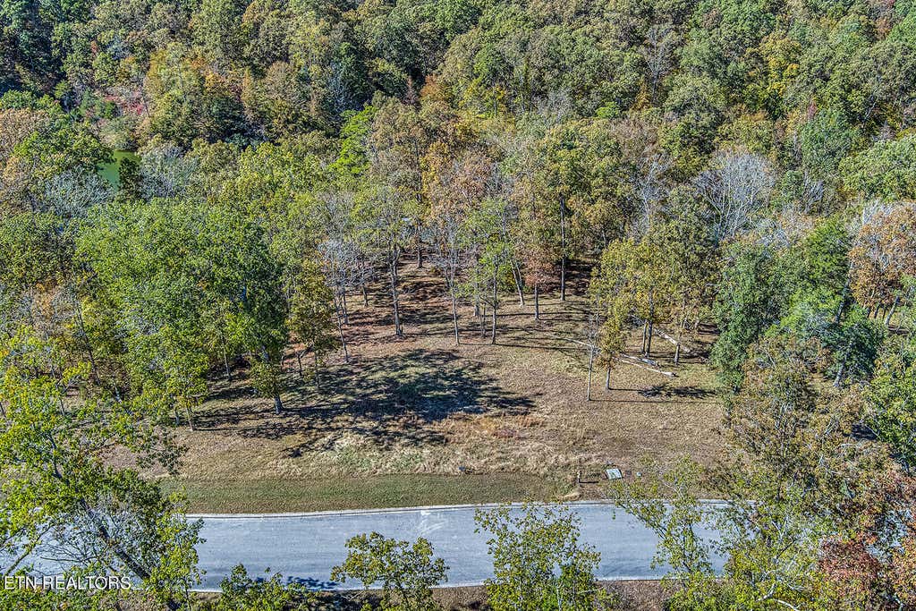Photo of Waterfront Way, Ten Mile, TN 37880 (MLS # 1244071)