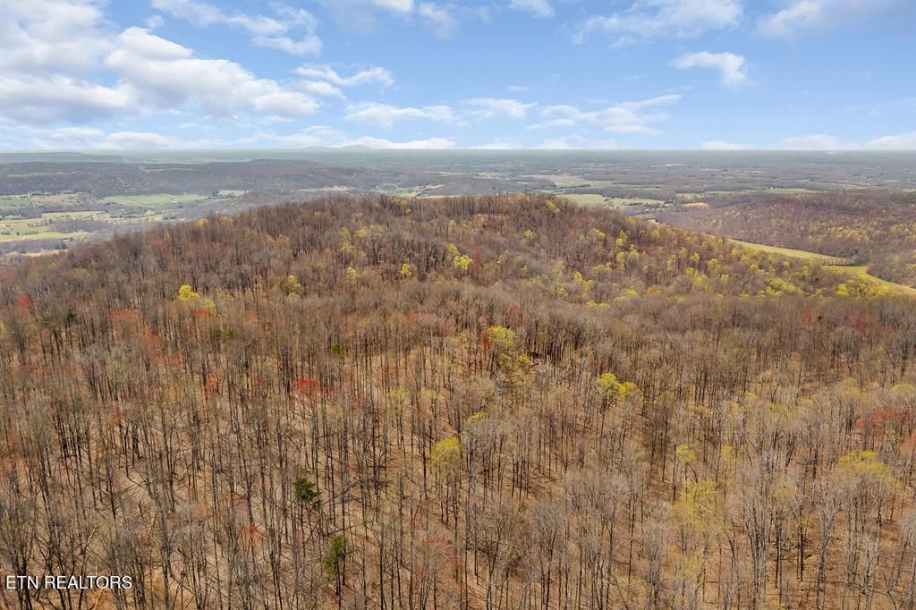 Photo of 0 White Oak Flatt Rd, Sparta, TN 38583 (MLS # 1333740)