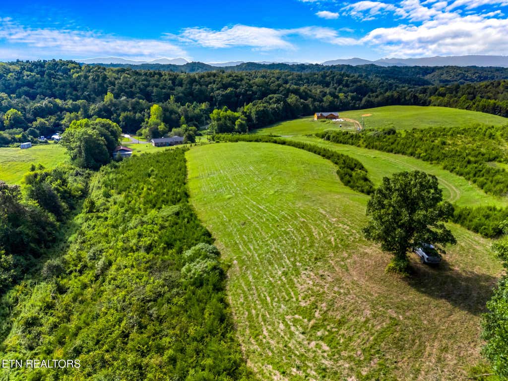 Photo of 45 Lonesome Pine Rd, Bybee, TN 37713 (MLS # 1317329)