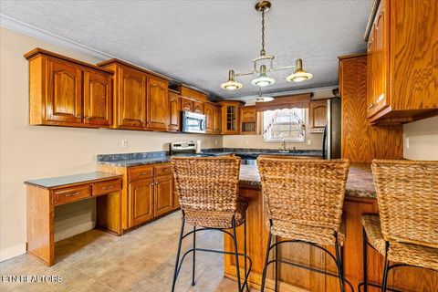 Tiny photo for 154 Scarlett Drive, LaFollette, TN 37766 (MLS # 1331051)