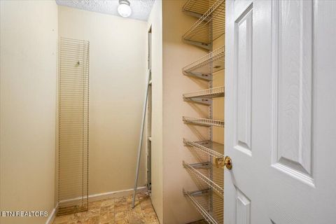 Tiny photo for 154 Scarlett Drive, LaFollette, TN 37766 (MLS # 1331051)