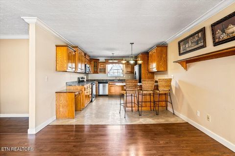 Tiny photo for 154 Scarlett Drive, LaFollette, TN 37766 (MLS # 1331051)