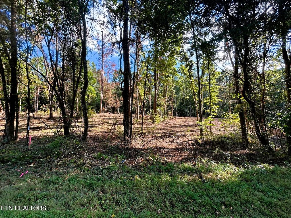 Photo of 1 Pleasant Hill Road, Ten Mile, TN 37880 (MLS # 1310718)