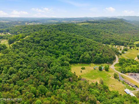 Tiny photo for 979 SR 92, Rutledge, TN 37861 (MLS # 1342358)