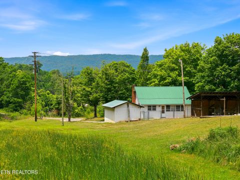 Tiny photo for 979 SR 92, Rutledge, TN 37861 (MLS # 1342358)