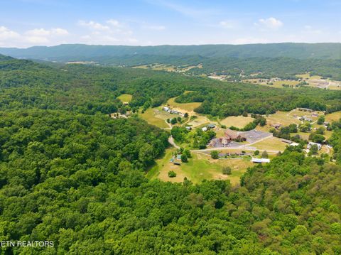 Tiny photo for 979 SR 92, Rutledge, TN 37861 (MLS # 1342358)