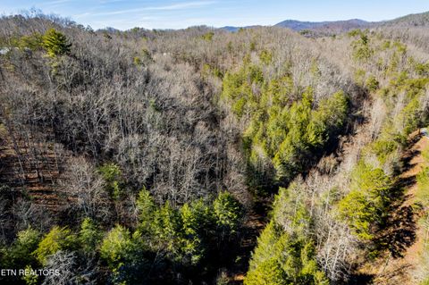 Tiny photo for Raymond Way, Cosby, TN 37722 (MLS # 1319991)