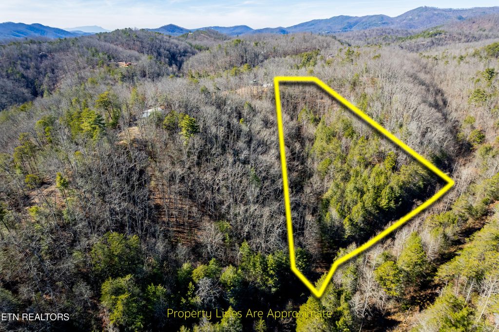 Photo of Raymond Way, Cosby, TN 37722 (MLS # 1319991)