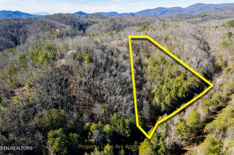 Tiny photo for Raymond Way, Cosby, TN 37722 (MLS # 1319991)