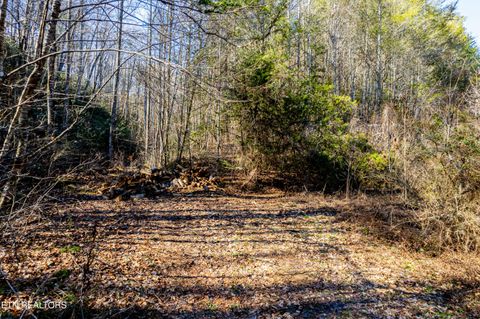 Tiny photo for Raymond Way, Cosby, TN 37722 (MLS # 1319991)