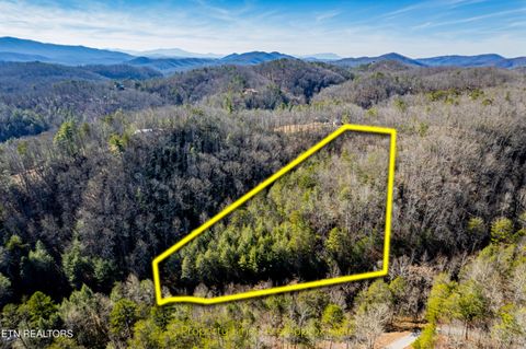 Photo of Raymond Way, Cosby, TN 37722 (MLS # 1319991)