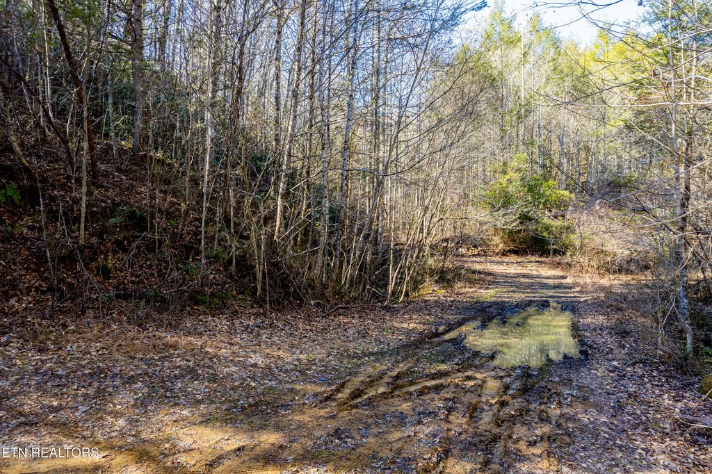 Photo of Raymond Way, Cosby, TN 37722 (MLS # 1319991)