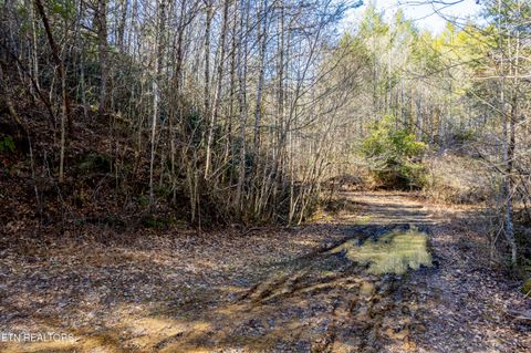 Tiny photo for Raymond Way, Cosby, TN 37722 (MLS # 1319991)
