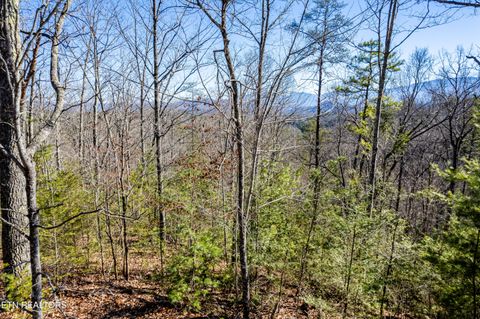 Tiny photo for Raymond Way, Cosby, TN 37722 (MLS # 1319991)