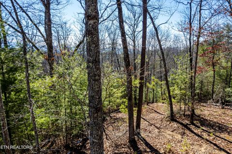 Tiny photo for Raymond Way, Cosby, TN 37722 (MLS # 1319991)