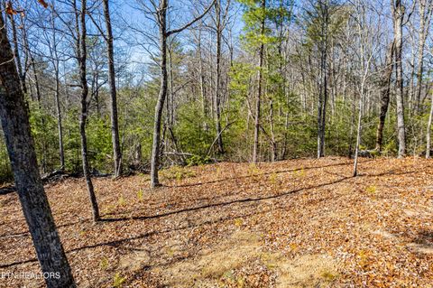 Tiny photo for Raymond Way, Cosby, TN 37722 (MLS # 1319991)