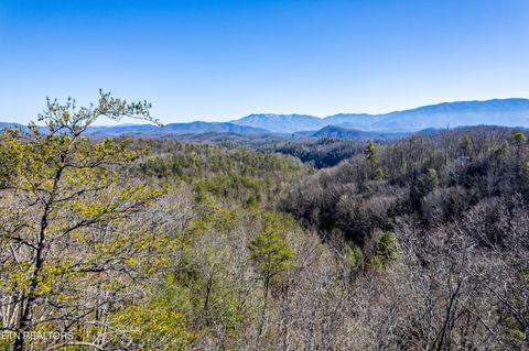 Tiny photo for Raymond Way, Cosby, TN 37722 (MLS # 1319991)