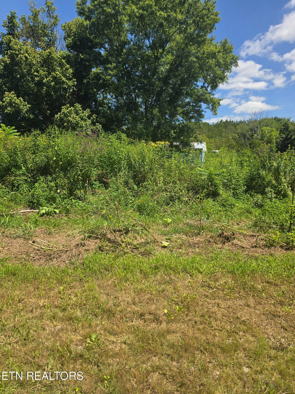 Photo of 152138 Wilmoth Lane, Washburn, TN 37888 (MLS # 1353092)