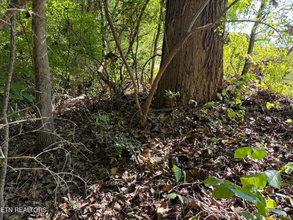 Photo of 0 Culpepper Rd, Knoxville, TN 37917 (MLS # 1359045)