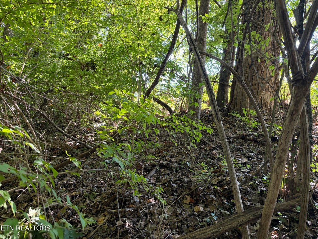 Photo of 0 Culpepper Rd, Knoxville, TN 37917 (MLS # 1359045)