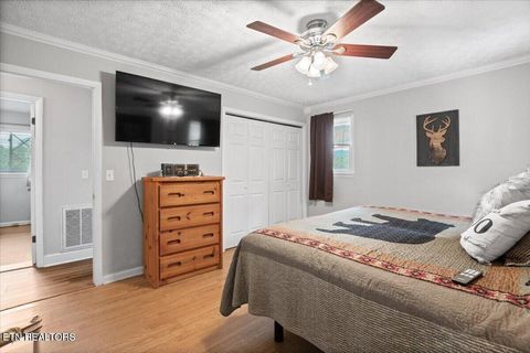 Tiny photo for 446 Oak Run Rd, LaFollette, TN 37766 (MLS # 1323972)