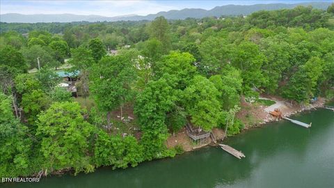 Tiny photo for 446 Oak Run Rd, LaFollette, TN 37766 (MLS # 1323972)