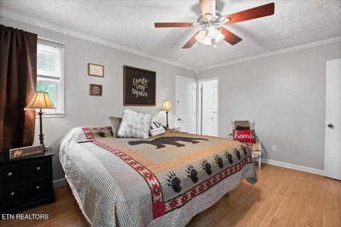 Tiny photo for 446 Oak Run Rd, LaFollette, TN 37766 (MLS # 1323972)