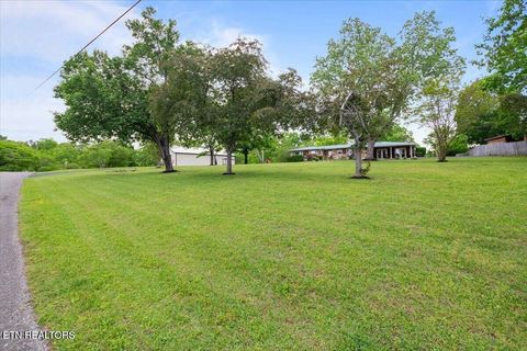 Tiny photo for 446 Oak Run Rd, LaFollette, TN 37766 (MLS # 1323972)