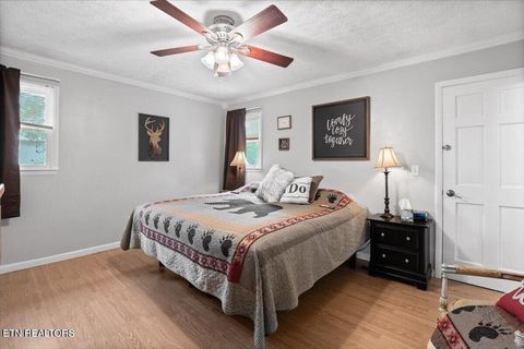 Tiny photo for 446 Oak Run Rd, LaFollette, TN 37766 (MLS # 1323972)