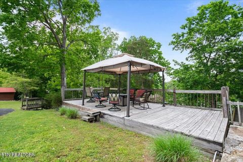 Tiny photo for 446 Oak Run Rd, LaFollette, TN 37766 (MLS # 1323972)