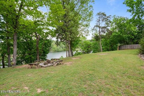 Tiny photo for 446 Oak Run Rd, LaFollette, TN 37766 (MLS # 1323972)