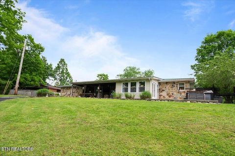 Tiny photo for 446 Oak Run Rd, LaFollette, TN 37766 (MLS # 1323972)