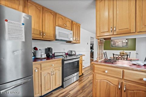 Tiny photo for 446 Oak Run Rd, LaFollette, TN 37766 (MLS # 1323972)