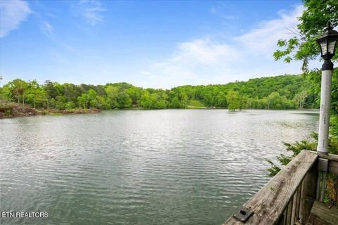 Tiny photo for 446 Oak Run Rd, LaFollette, TN 37766 (MLS # 1323972)