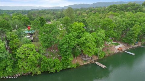 Tiny photo for 446 Oak Run Rd, LaFollette, TN 37766 (MLS # 1323972)