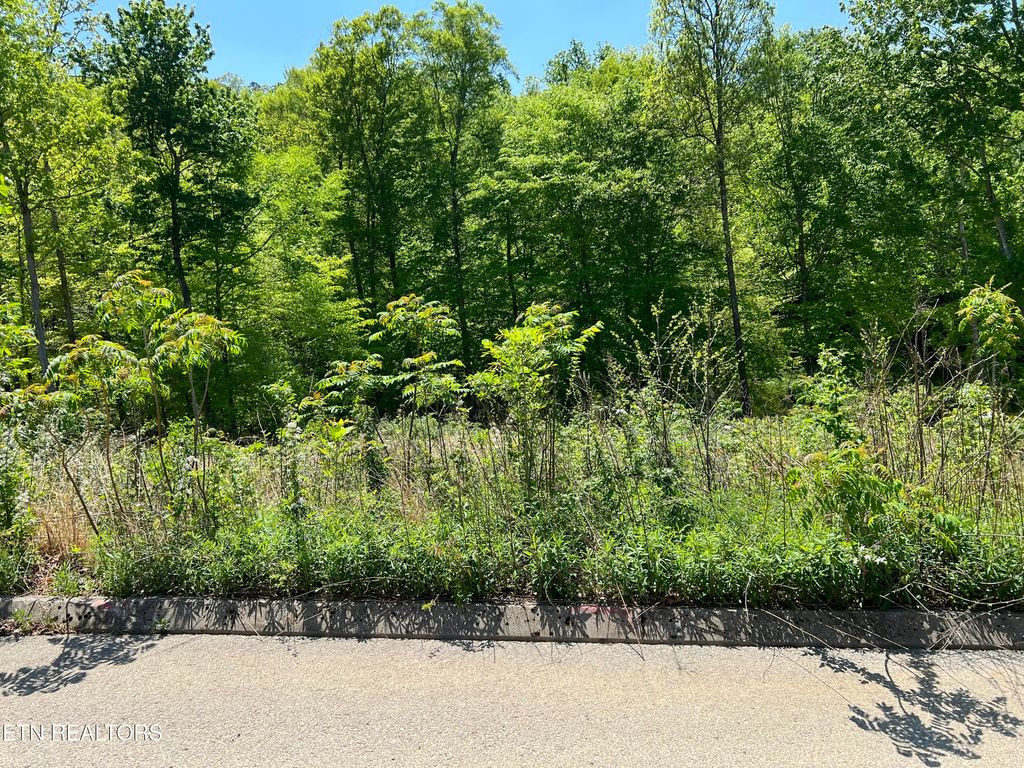 Photo of 33 Timber Creek Rd, Maynardville, TN 37807 (MLS # 1298917)