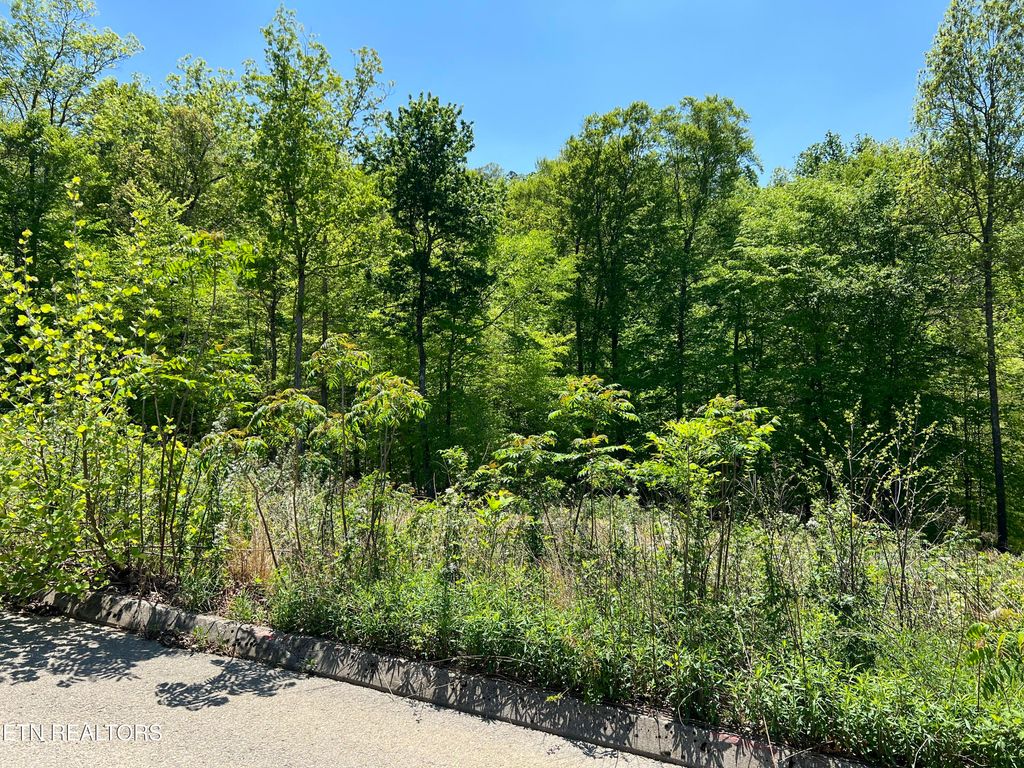 Photo of 33 Timber Creek Rd, Maynardville, TN 37807 (MLS # 1298917)