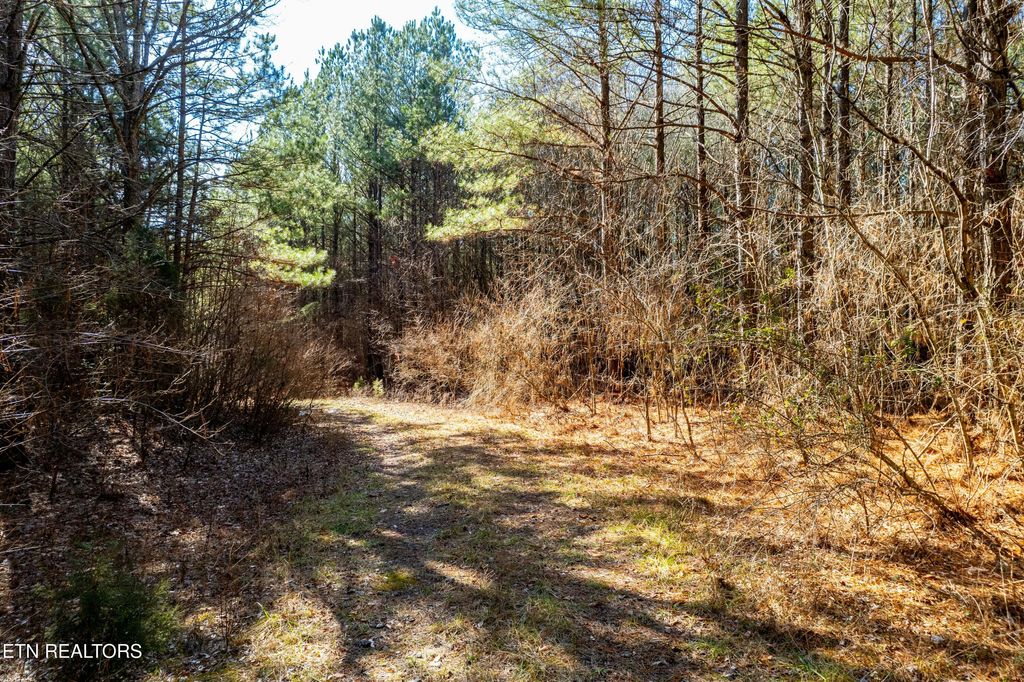 Photo of Lower Rockwood Rd Lot 14, Rockwood, TN 37854 (MLS # 1281348)