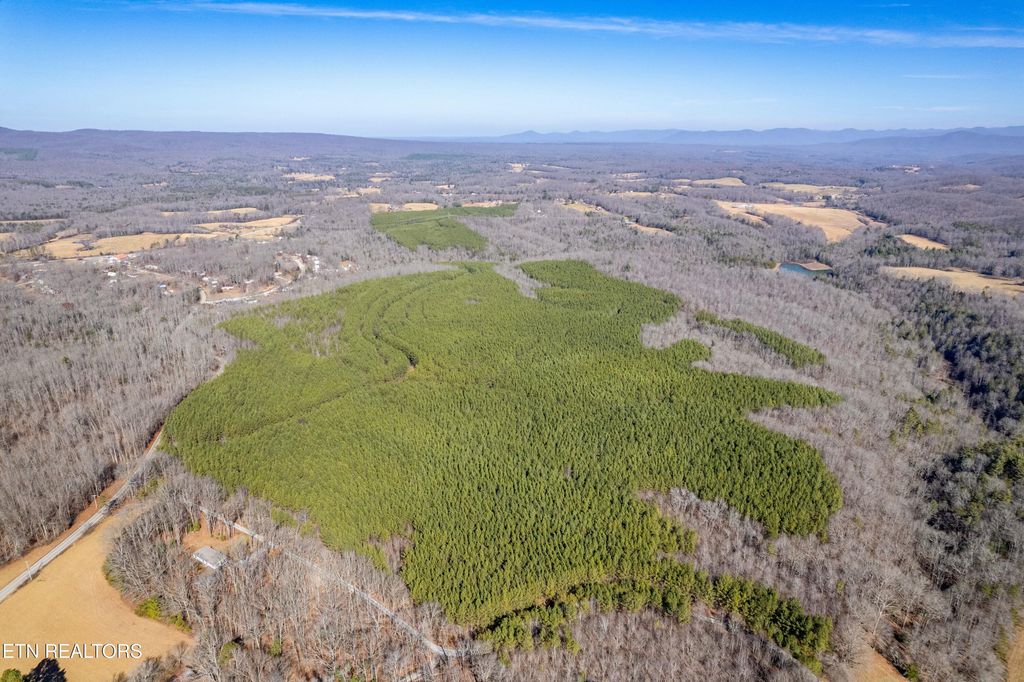 Photo of Lower Rockwood Rd Lot 14, Rockwood, TN 37854 (MLS # 1281348)
