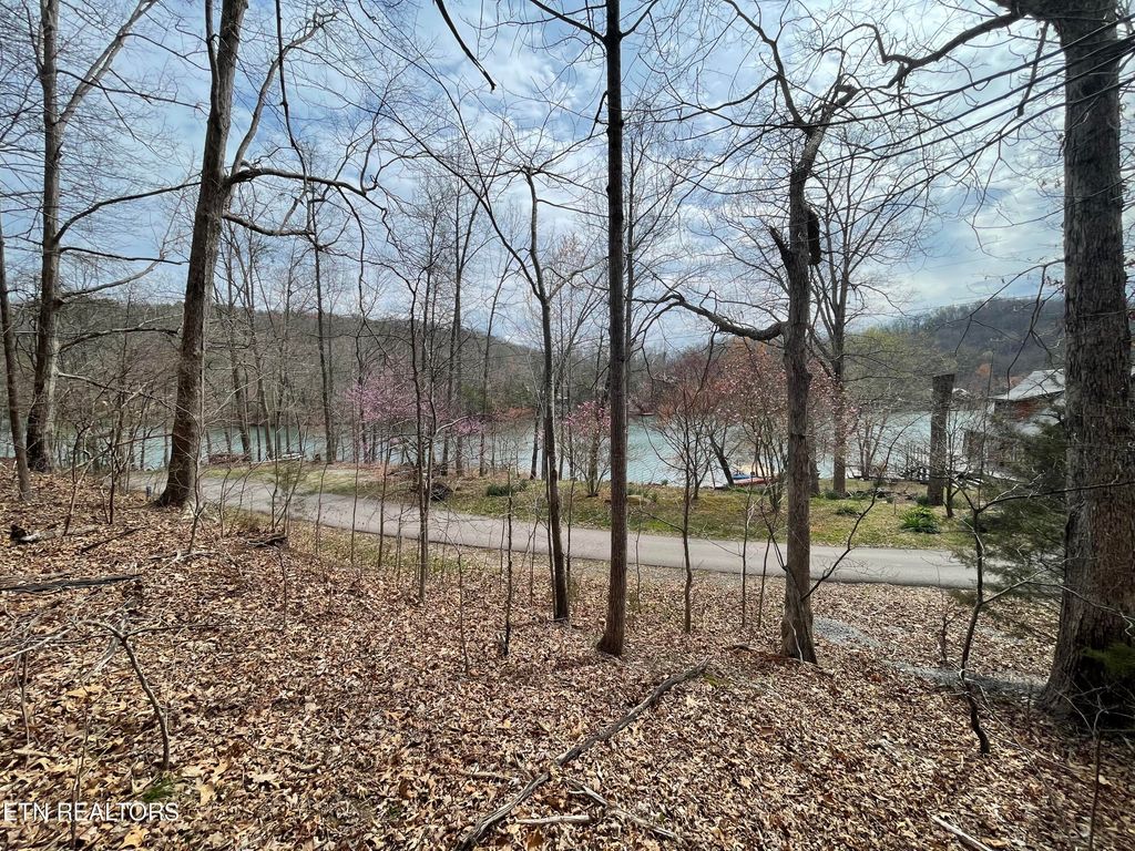 Photo of 120 Laurel Lake Circle, Madisonville, TN 37354 (MLS # 1257267)