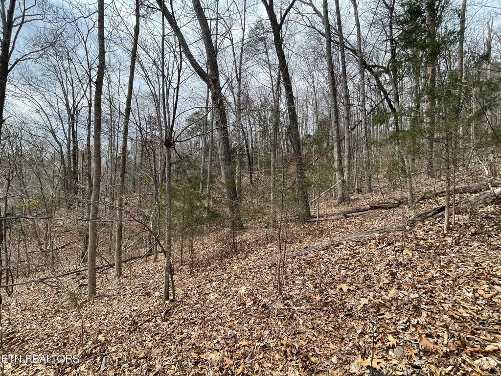 Photo of 120 Laurel Lake Circle, Madisonville, TN 37354 (MLS # 1257267)