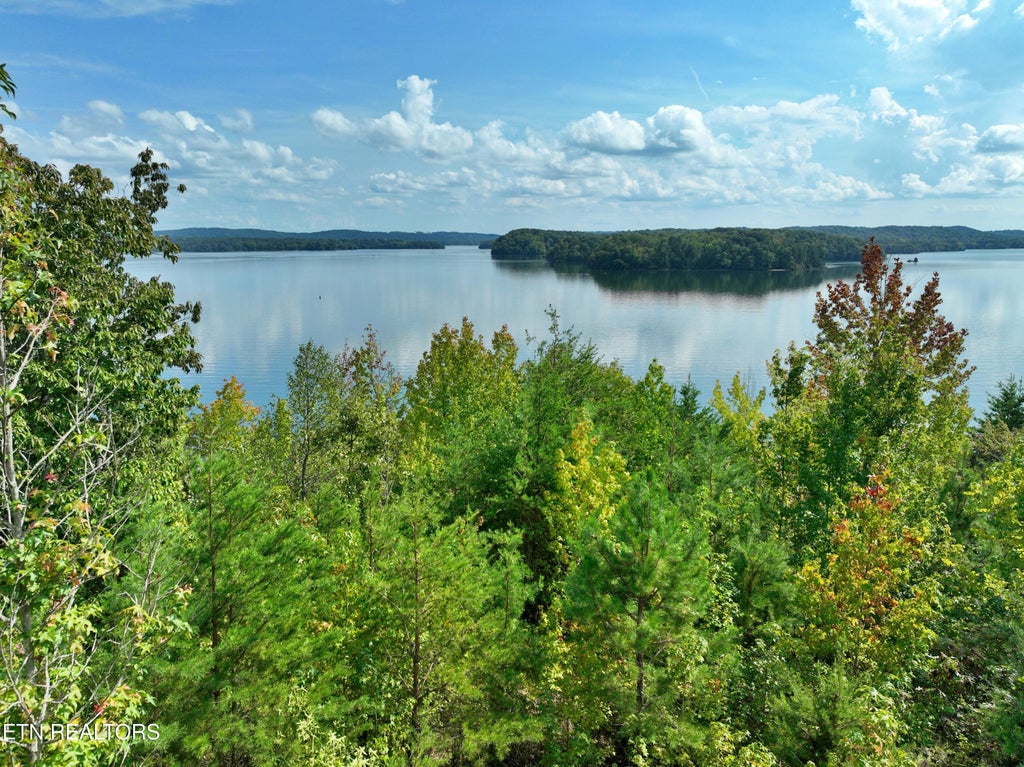 Photo of 495 Waterside Way, Spring City, TN 37381 (MLS # 1356968)