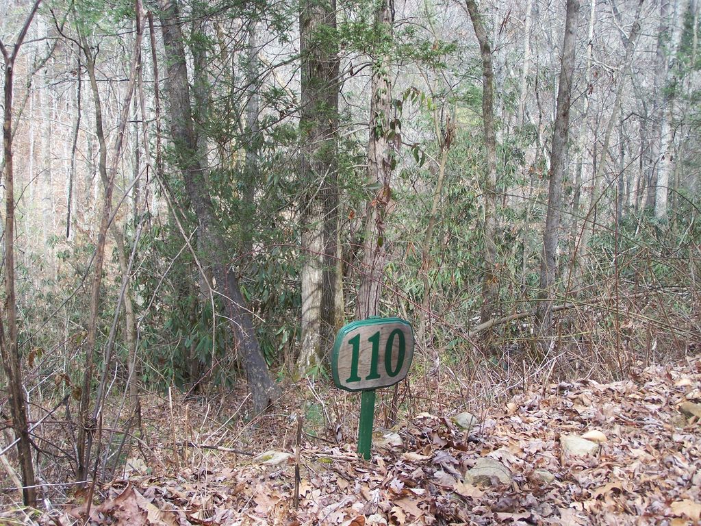 Photo of 129 Springside Way, Townsend, TN 37882 (MLS # 1056819)