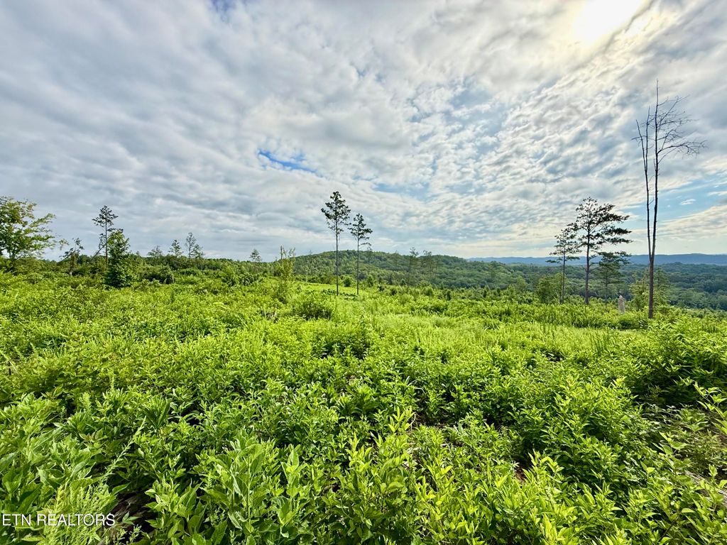 Photo of 980 Wasson Rd, Ten Mile, TN 37880 (MLS # 1309962)