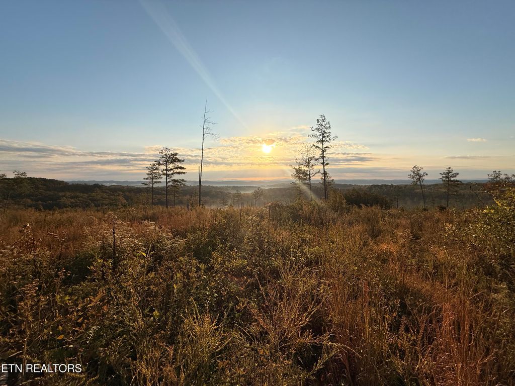 Photo of 980 Wasson Rd, Ten Mile, TN 37880 (MLS # 1309962)