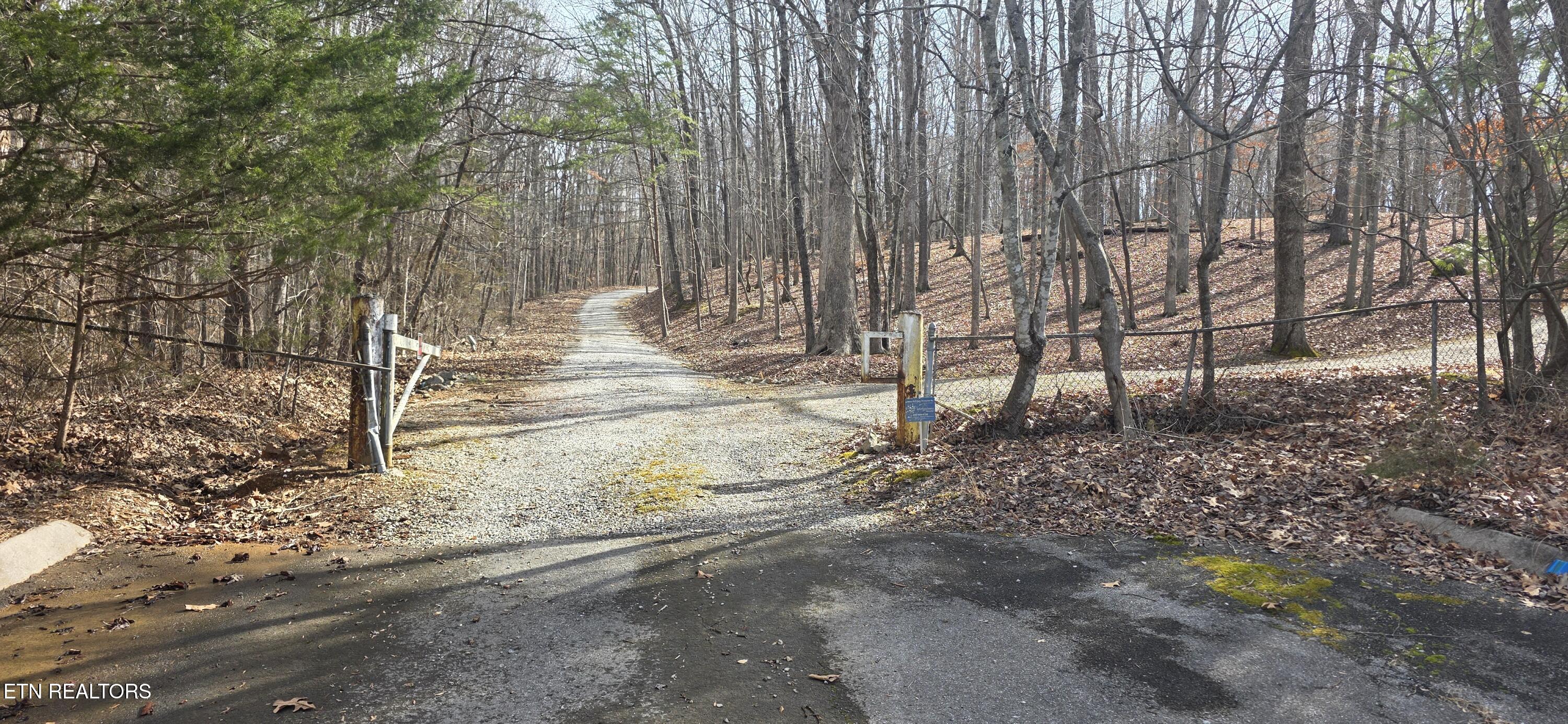 91 Timbercrest Drive