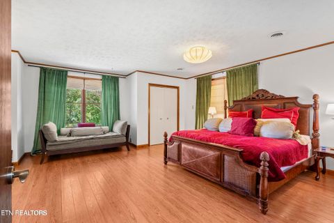 Tiny photo for 3850 McDonald Way, Sevierville, TN 37876 (MLS # 1337590)