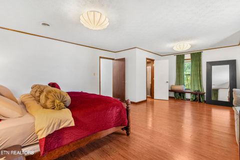 Tiny photo for 3850 McDonald Way, Sevierville, TN 37876 (MLS # 1337590)