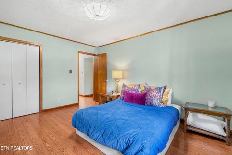 Tiny photo for 3850 McDonald Way, Sevierville, TN 37876 (MLS # 1337590)