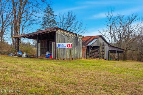 Tiny photo for 1815 Whirlwind Way, Mascot, TN 37806 (MLS # 1329949)